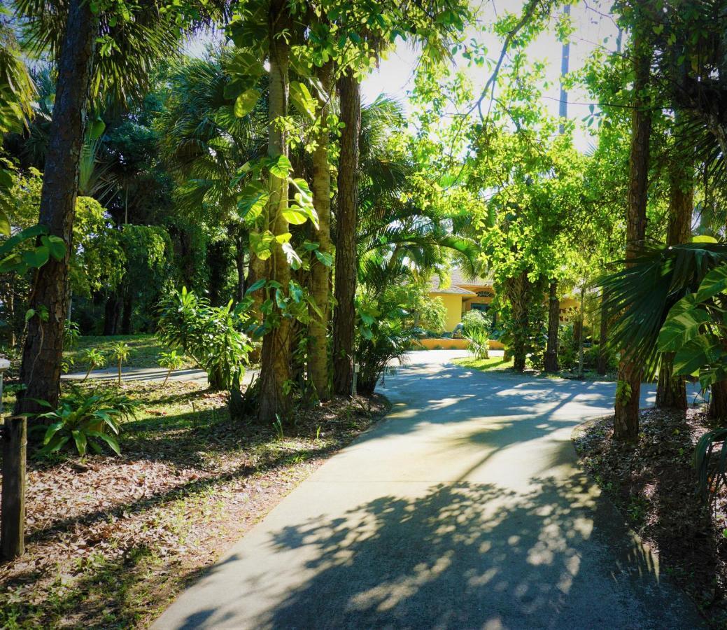 Jupiter Waterfalls - Newly Updated - Tiki Hut, Fire Pit, Kitchen, Pool Heater And More المظهر الخارجي الصورة